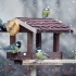 Како да се хранат птиците во зима - не штети!